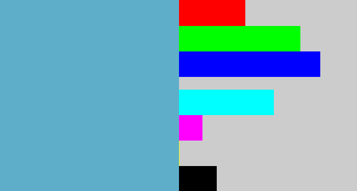 Hex color #5faec9 - greyblue