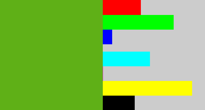 Hex color #5fb017 - frog green