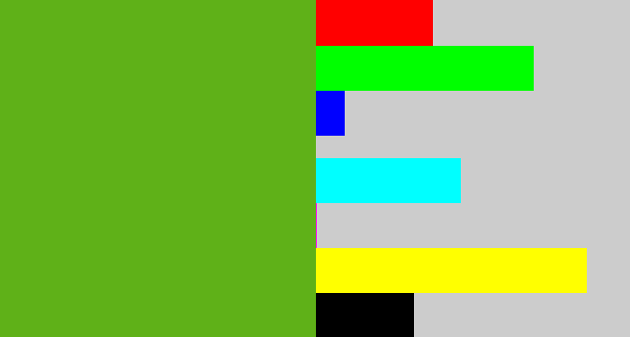 Hex color #5fb118 - frog green