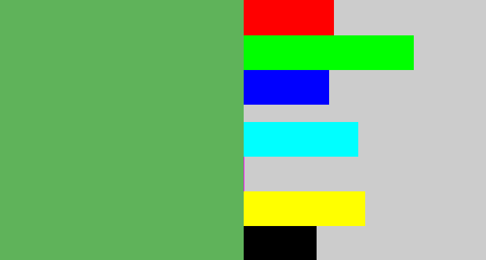 Hex color #5fb35a - dark pastel green