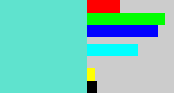 Hex color #5fe3ce - light greenish blue