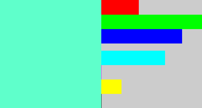 Hex color #5fffcb - light greenish blue