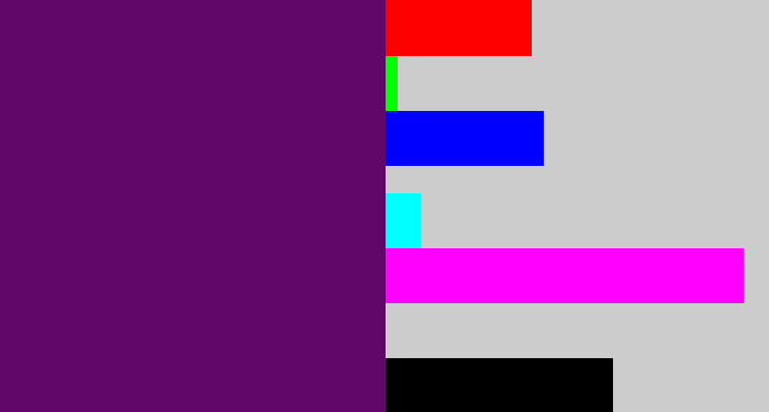 Hex color #600769 - royal purple