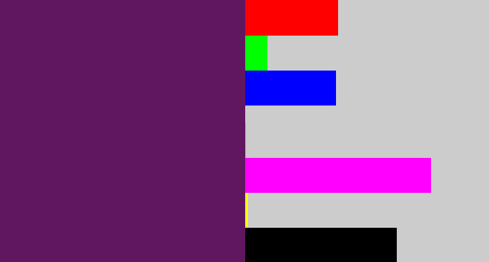 Hex color #60175f - grape purple