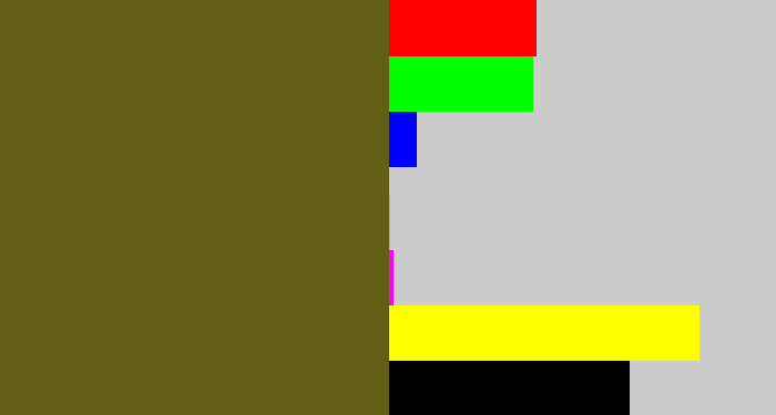 Hex color #605f13 - greenish brown