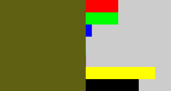 Hex color #606012 - greenish brown