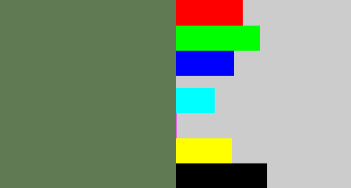 Hex color #607b54 - dark sage