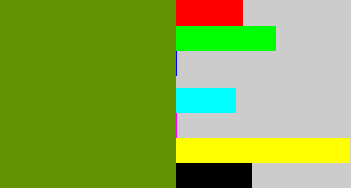 Hex color #609201 - dark yellow green