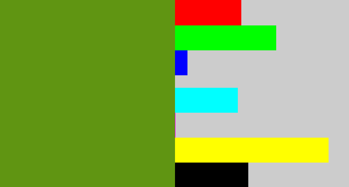 Hex color #609512 - sap green