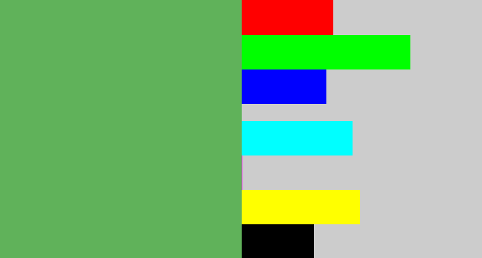 Hex color #60b25a - dark pastel green
