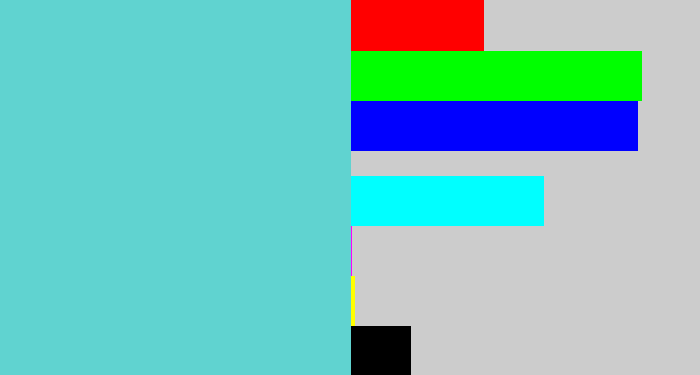 Hex color #60d3d0 - seafoam blue
