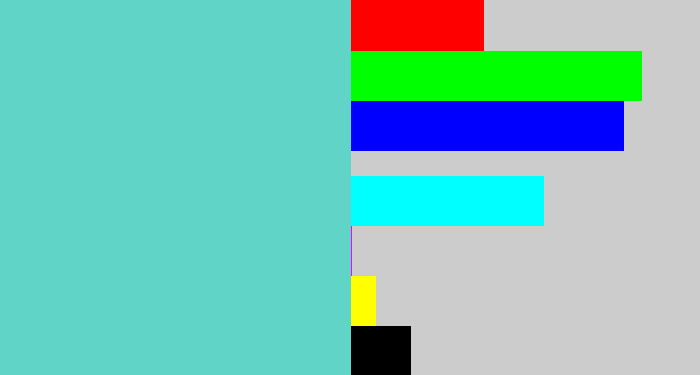Hex color #60d4c6 - seafoam blue