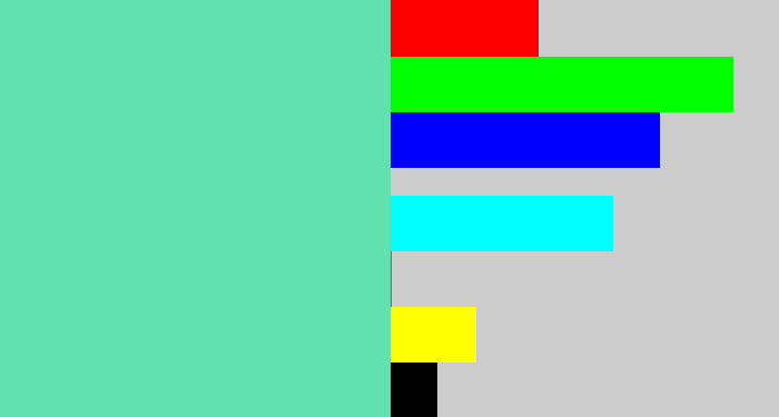 Hex color #60e1af - light greenish blue