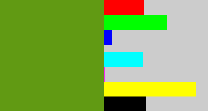 Hex color #619a13 - sap green