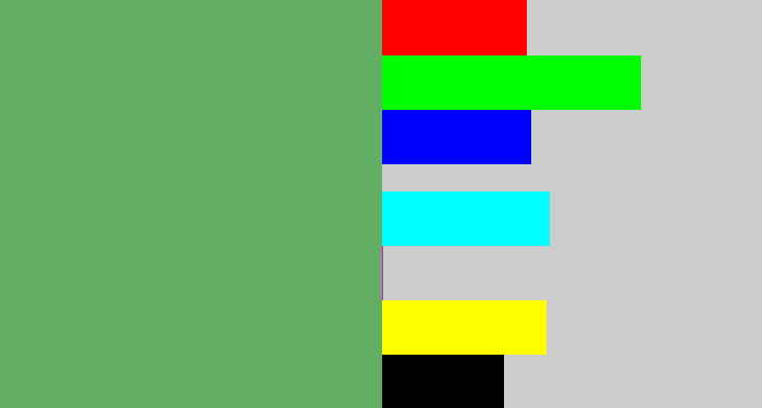 Hex color #61ae64 - boring green