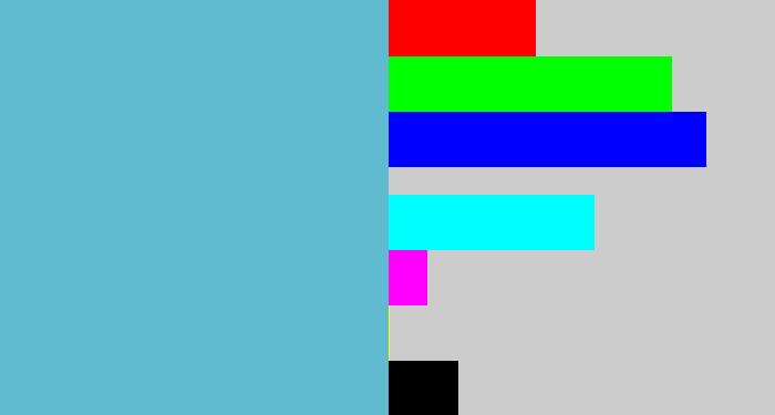 Hex color #61bbd0 - seafoam blue