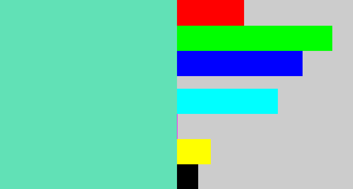 Hex color #61e1b6 - light greenish blue