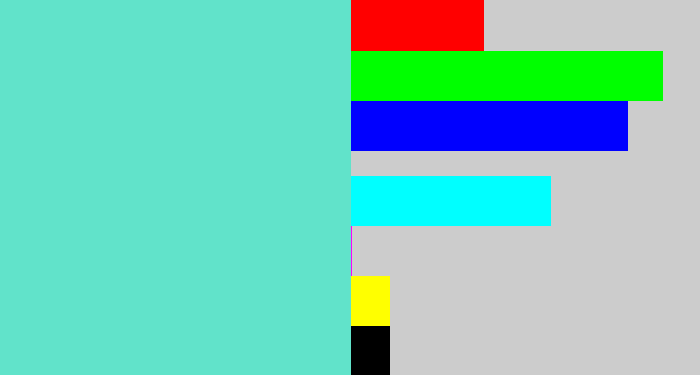 Hex color #61e3ca - light greenish blue