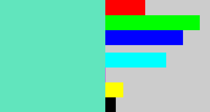Hex color #61e5bd - light greenish blue