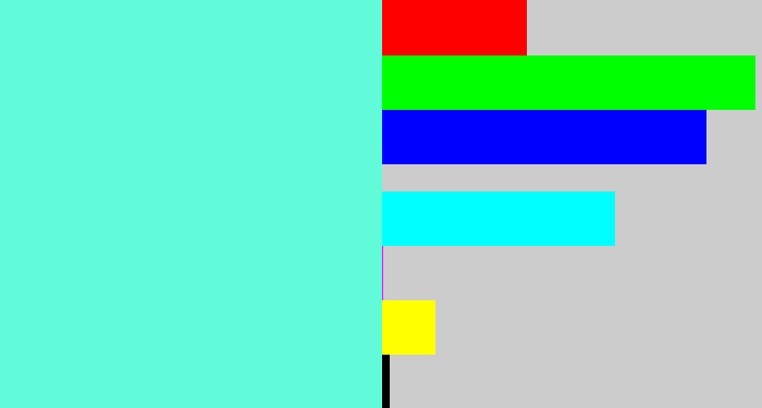 Hex color #61fbd9 - tiffany blue