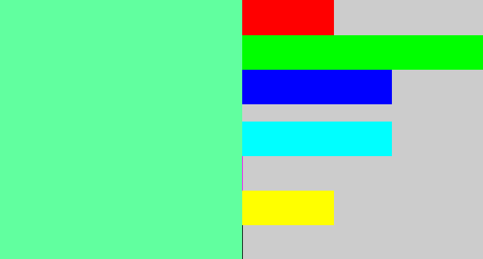 Hex color #61ff9f - light green blue