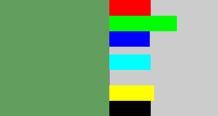 Hex color #629e5e - muted green