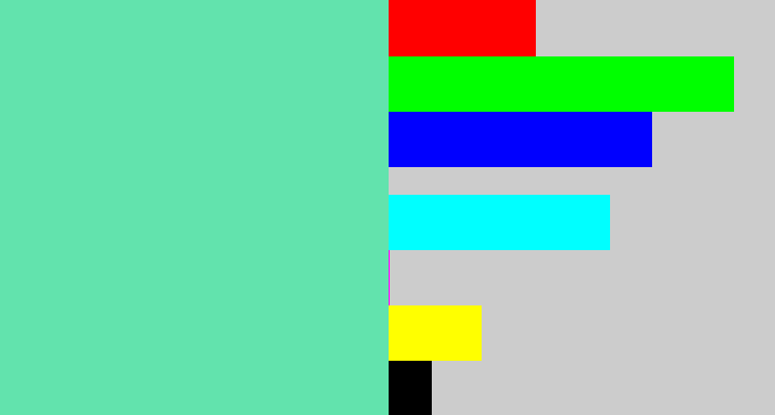 Hex color #62e3ad - light greenish blue
