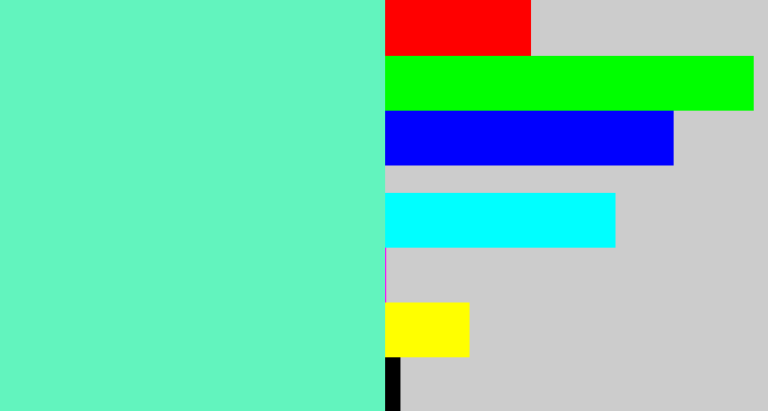 Hex color #62f4be - light greenish blue