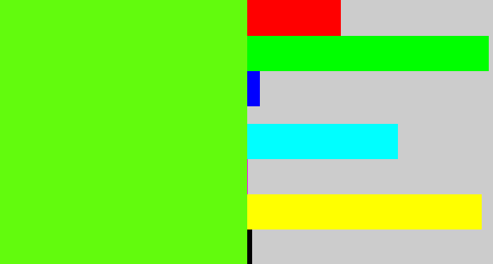 Hex color #62fb0d - bright lime green