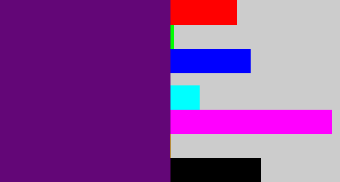 Hex color #630677 - royal purple