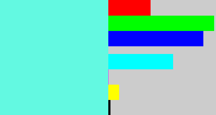 Hex color #63f9e1 - tiffany blue