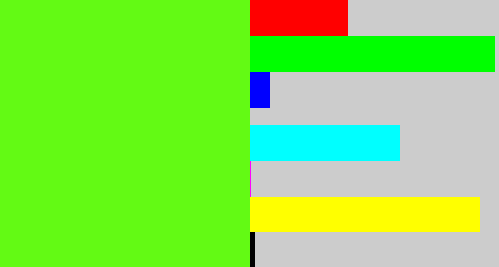 Hex color #63fa14 - bright lime green