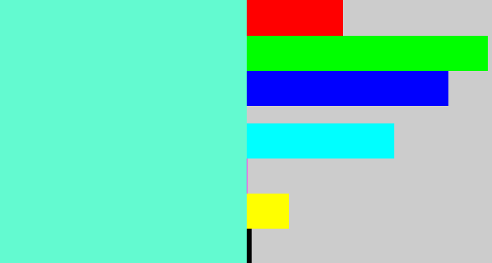 Hex color #63fad0 - light aquamarine