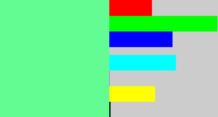 Hex color #63fc93 - light green blue