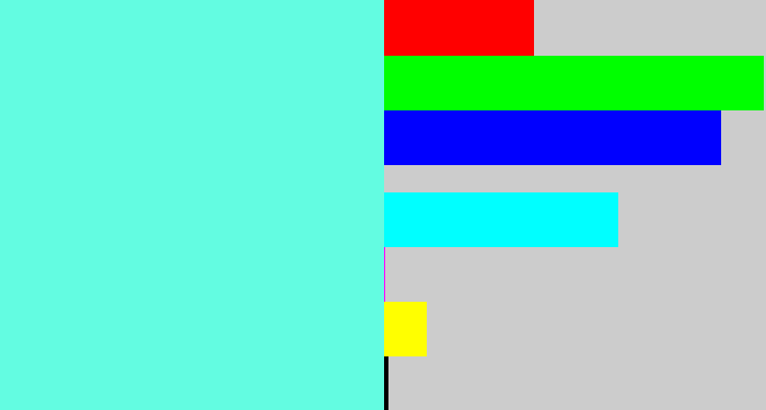 Hex color #63fce1 - tiffany blue