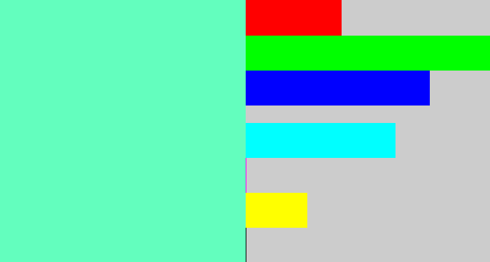Hex color #63febe - light greenish blue