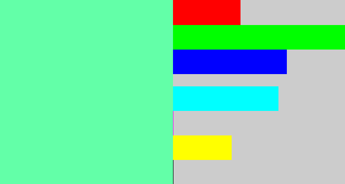Hex color #63ffa8 - light greenish blue