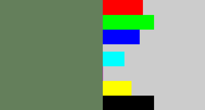 Hex color #647f5b - dark sage