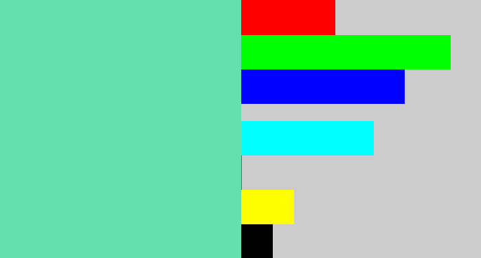 Hex color #64dfad - light greenish blue