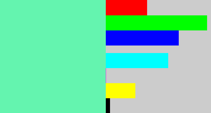 Hex color #64f4af - light greenish blue