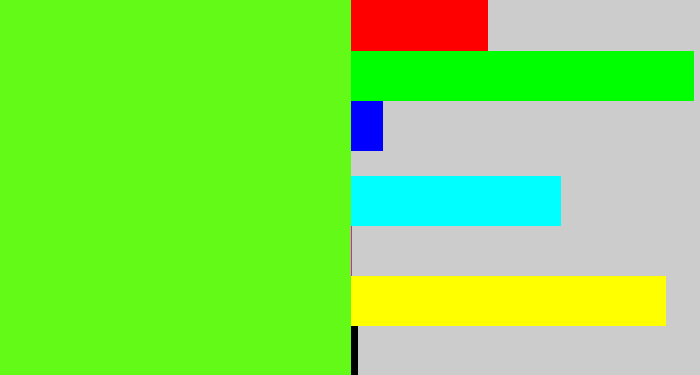 Hex color #64fa18 - bright lime green