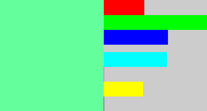 Hex color #64fe9d - light green blue