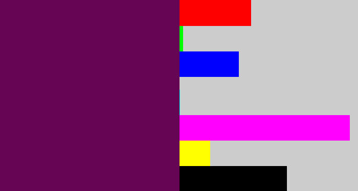 Hex color #650554 - rich purple