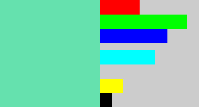 Hex color #65e1ae - light greenish blue