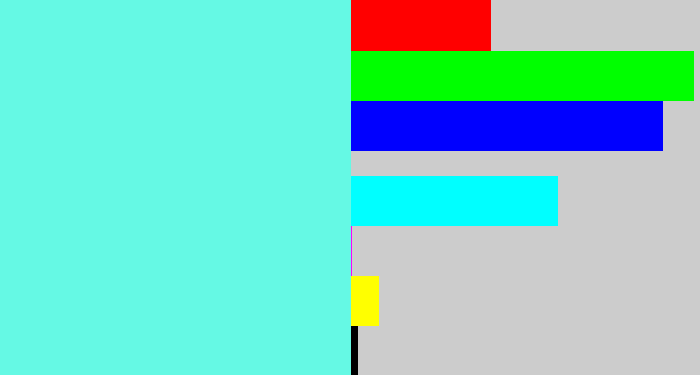 Hex color #65f9e4 - tiffany blue