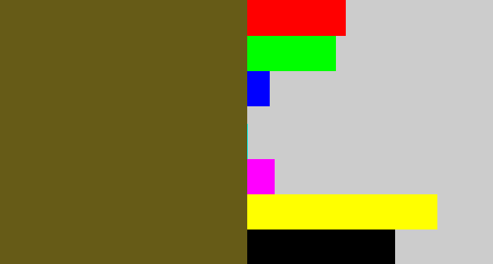 Hex color #665b17 - greenish brown