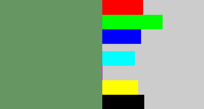 Hex color #669661 - slate green