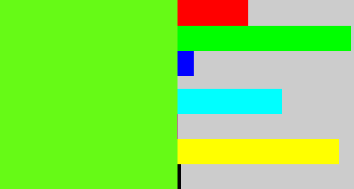 Hex color #66fa16 - bright lime green