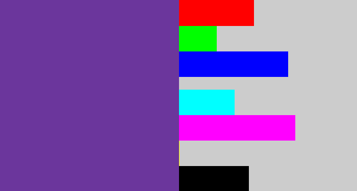 Hex color #6b369c - purple
