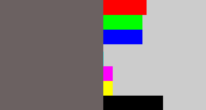 Hex color #6b6161 - slate grey